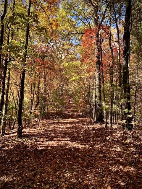 224 Pine Bough Road, Murphy NC 28906 - Photo