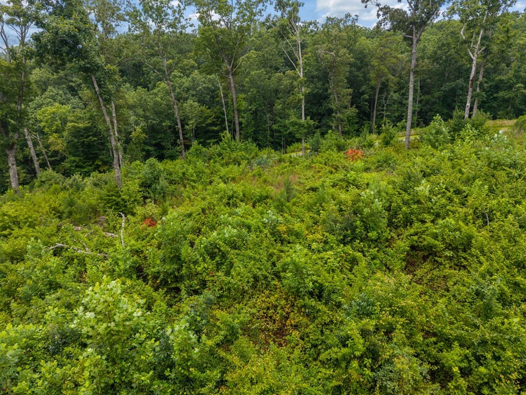Lot 84 Jakes Landing Way, Ellijay GA 30540 - Photo