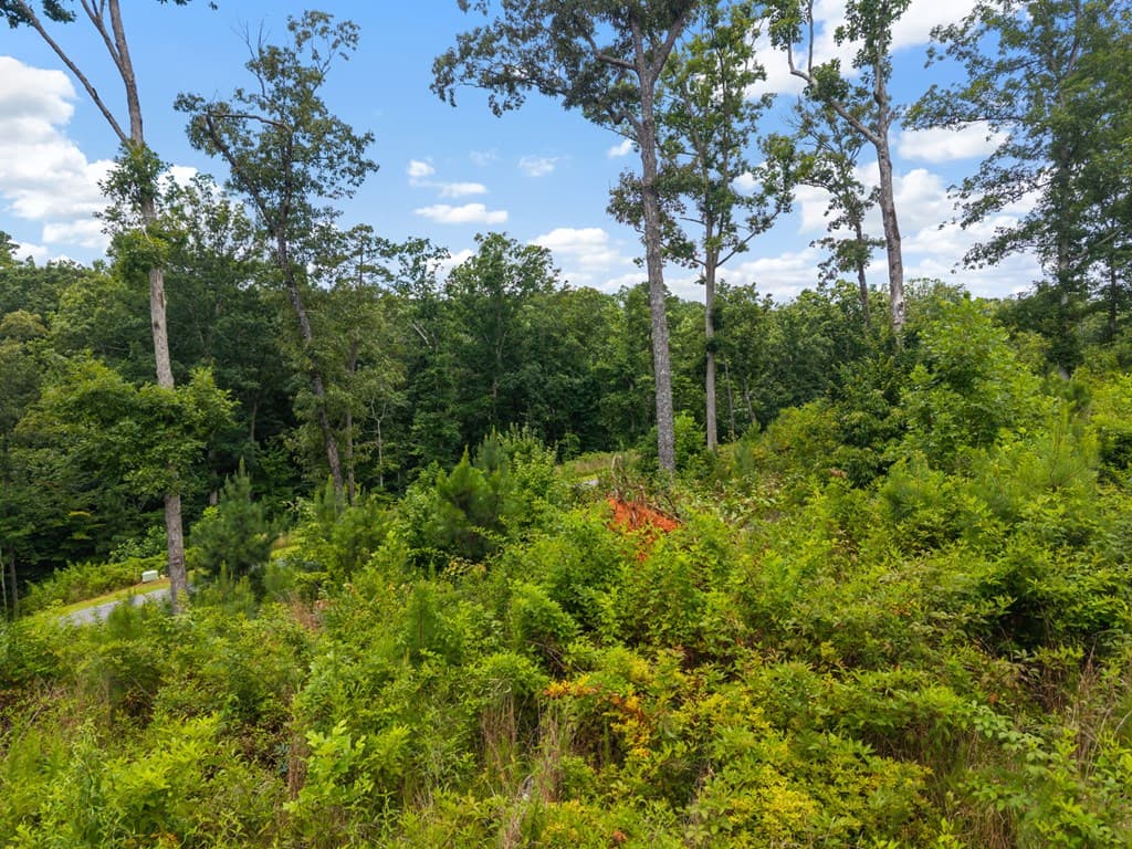 Lot 84 Jakes Landing Way, Ellijay GA 30540 - Photo