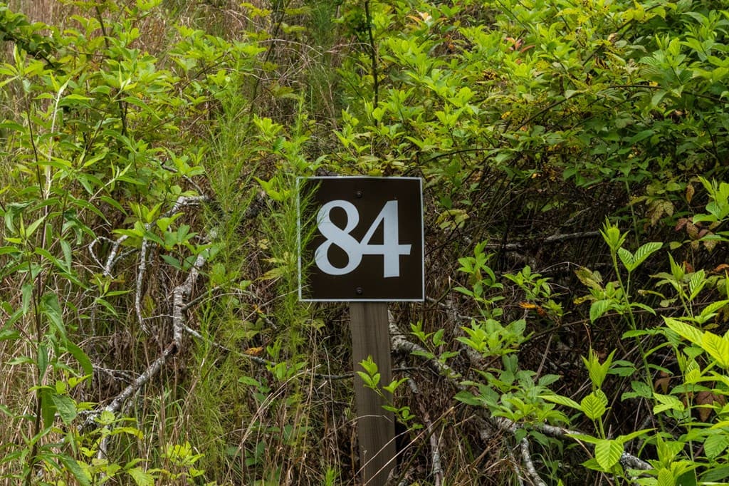 Lot 84 Jakes Landing Way, Ellijay GA 30540 - Photo