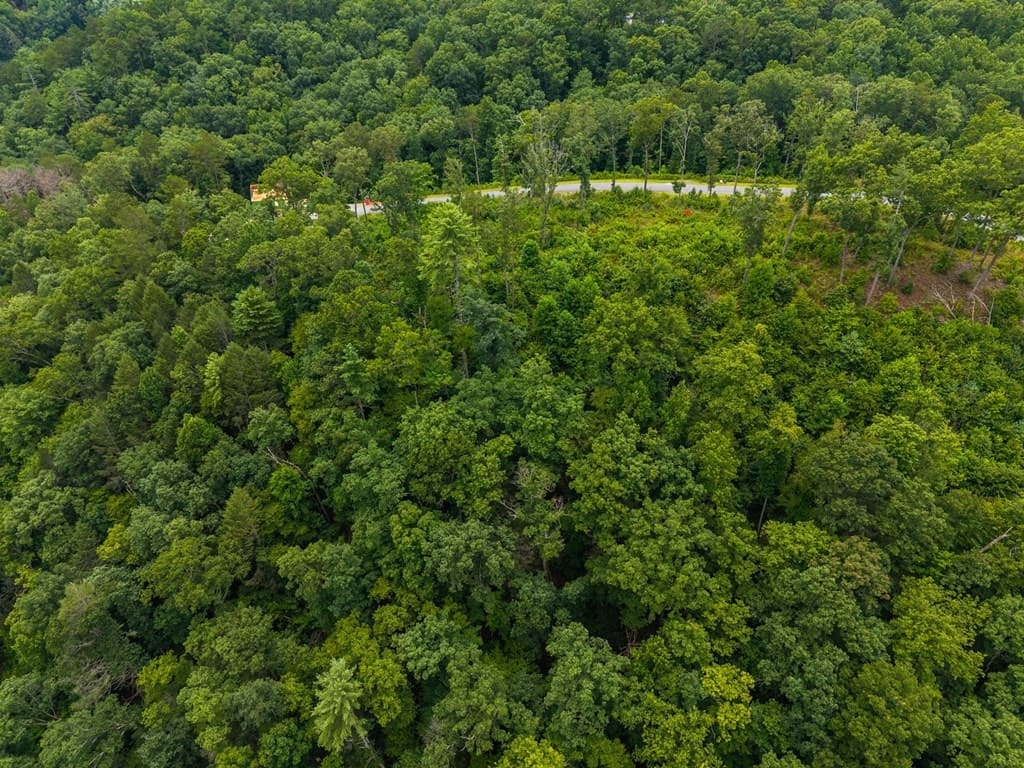 Lot 84 Jakes Landing Way, Ellijay GA 30540 - Photo