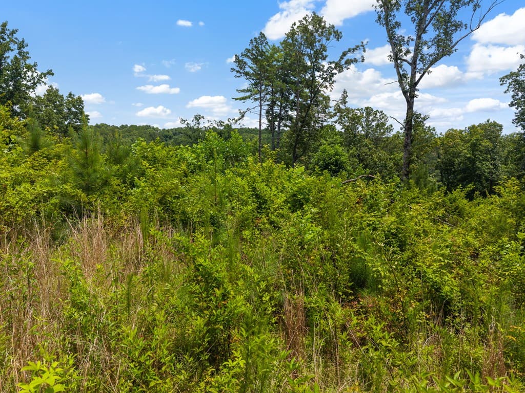 Lot 84 Jakes Landing Way, Ellijay GA 30540 - Photo