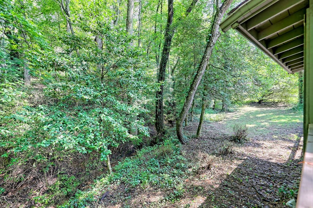 641 Cold Branch Road, Hayesville NC 28904 - Photo
