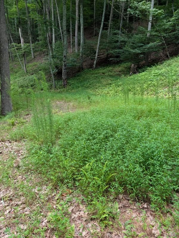 190 Valley Crest Drive, Blairsville GA 30512 - Photo