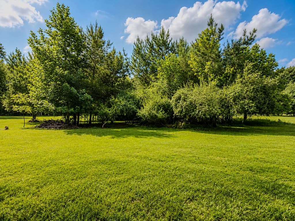 7E Lake Nottely Drive, Blairsville GA 30512 - Photo