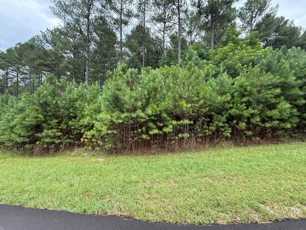 LOT 174 The Stables Loop, Blairsville GA 30512 - Photo