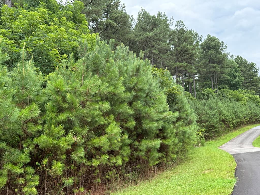LOT 174 The Stables Loop, Blairsville GA 30512 - Photo