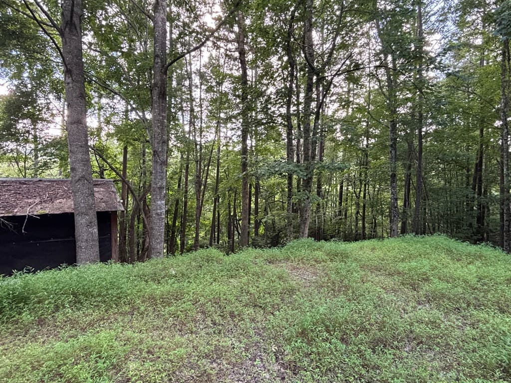 1163 Tipton Springs Road, Morganton GA 30560 - Photo