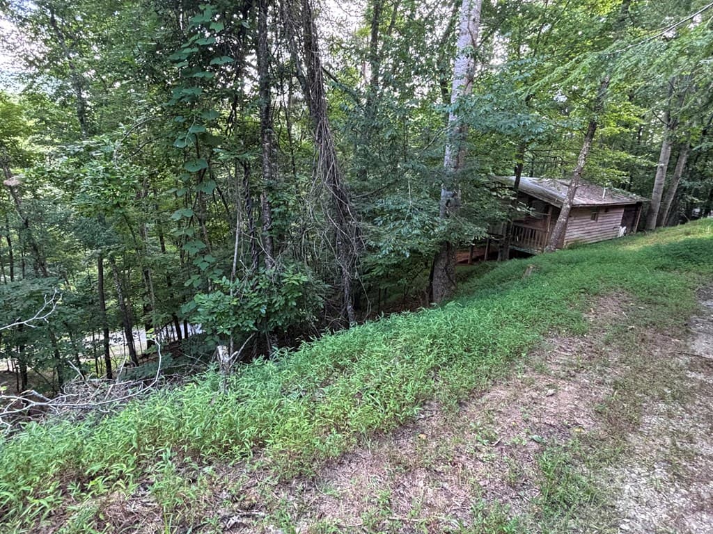 1163 Tipton Springs Road, Morganton GA 30560 - Photo