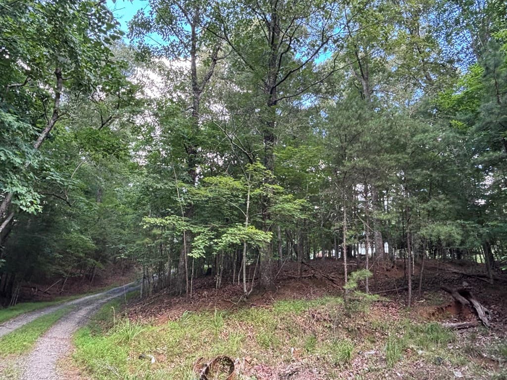 1163 Tipton Springs Road, Morganton GA 30560 - Photo