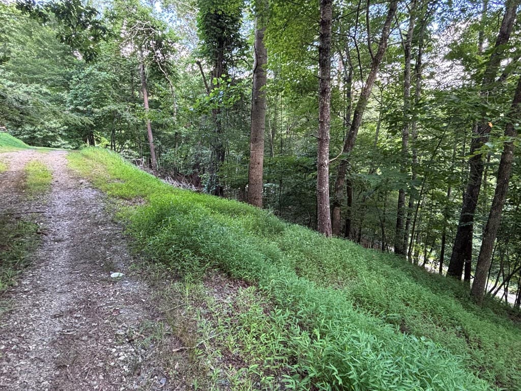 1163 Tipton Springs Road, Morganton GA 30560 - Photo