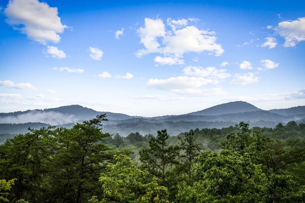 351 Black Dog Trail, Morganton GA 30560 - Photo