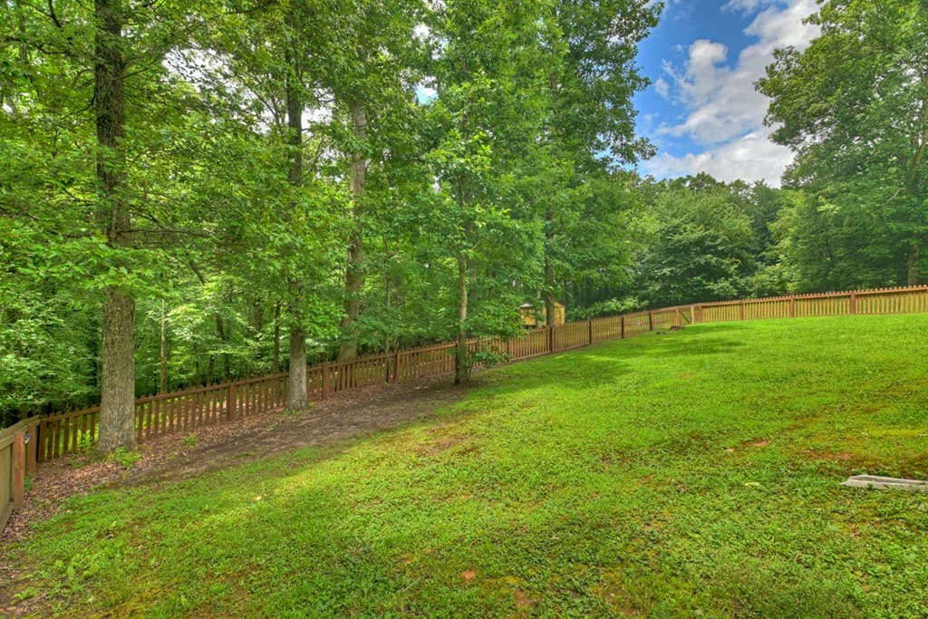 226 Bailey Farm Drive, Mineral Bluff GA 30559 - Photo