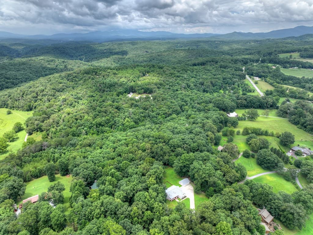 226 Bailey Farm Drive, Mineral Bluff GA 30559 - Photo