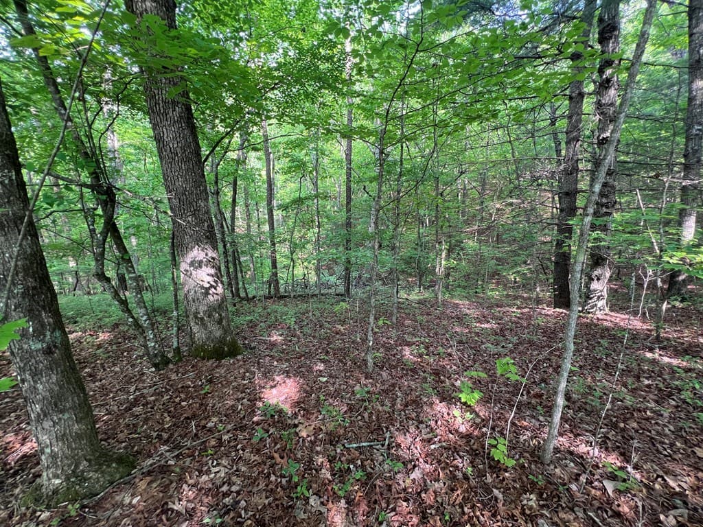 9 + Acre Leonard Lane, Murphy NC 28906 - Photo