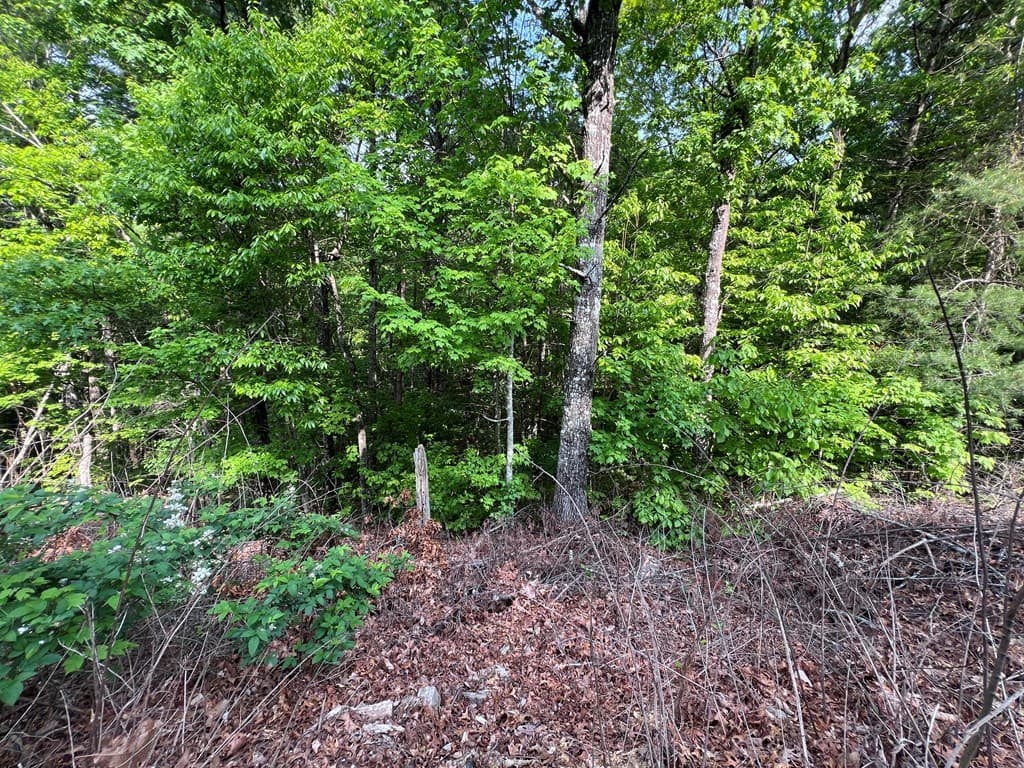 9 + Acre Leonard Lane, Murphy NC 28906 - Photo