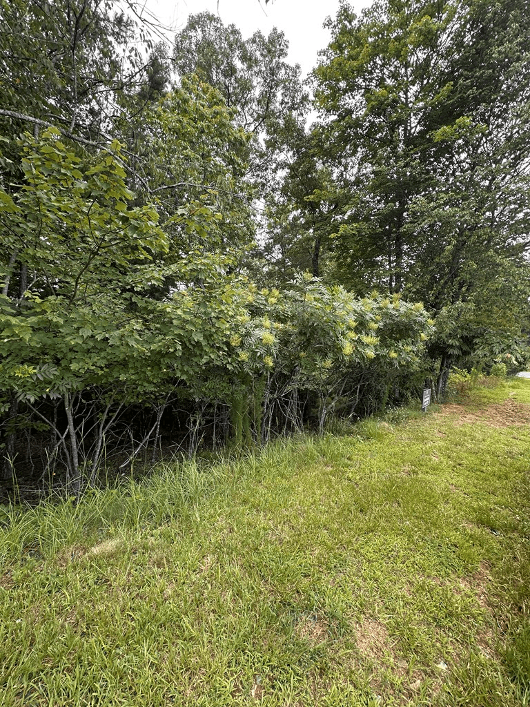 Lot 112 Fawn Way, Mineral Bluff GA 30536 - Photo