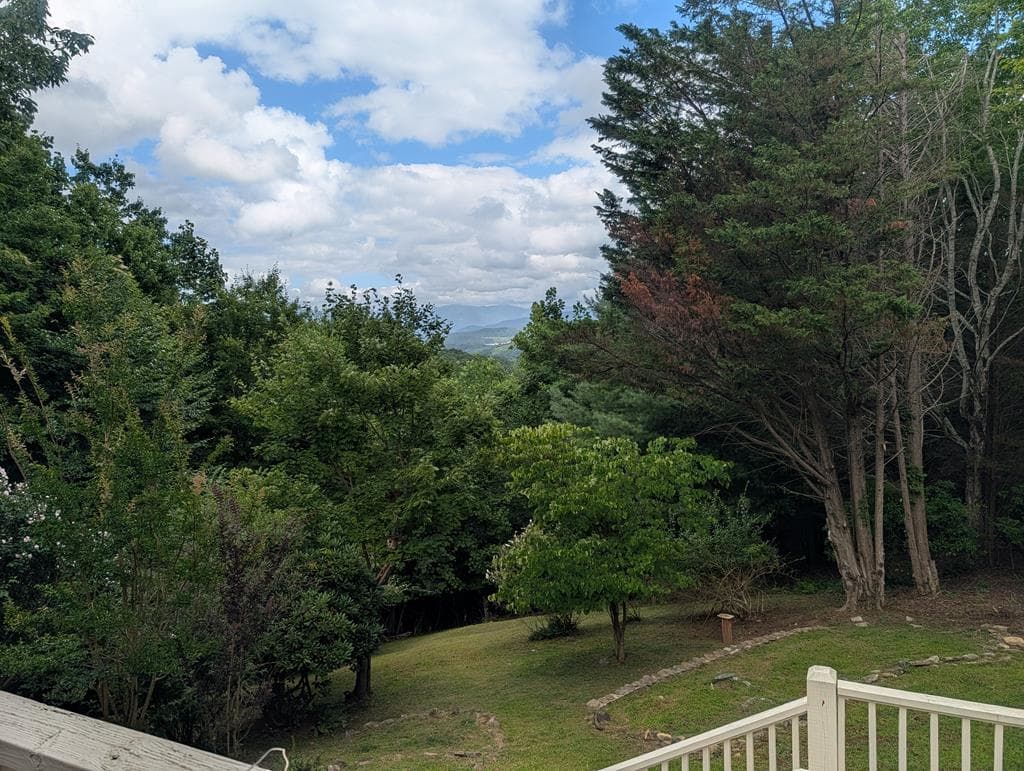 100 Sourwood Lane, Hayesville NC 28904 - Photo