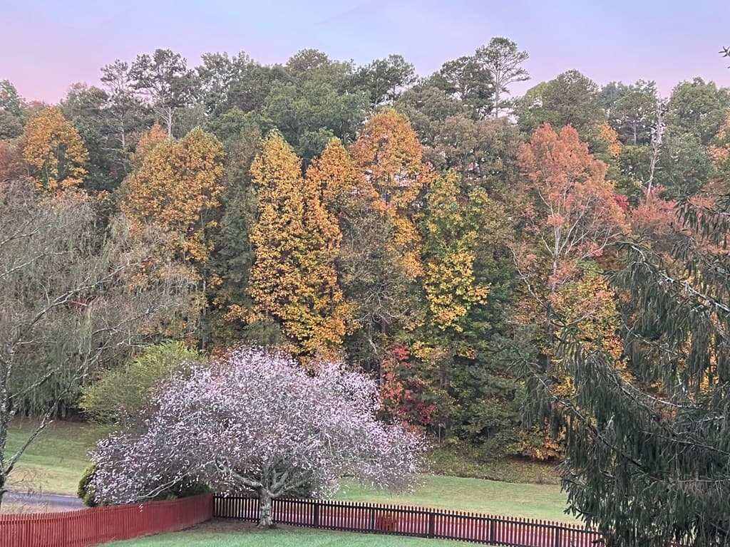 131 Talona Lake Terrace, Ellijay GA 30536 - Photo
