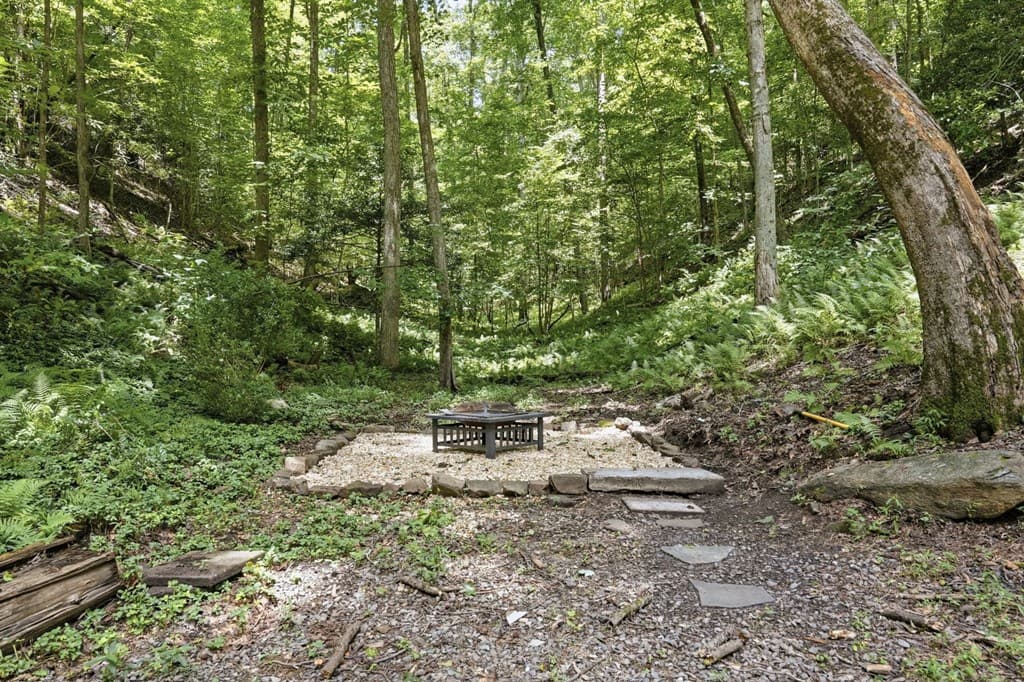 788 Joann Sisson Road, Blue Ridge GA 30522 - Photo