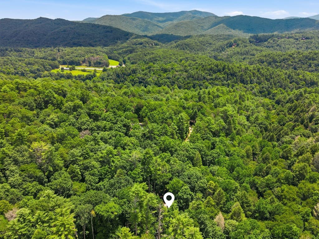 788 Joann Sisson Road, Blue Ridge GA 30522 - Photo