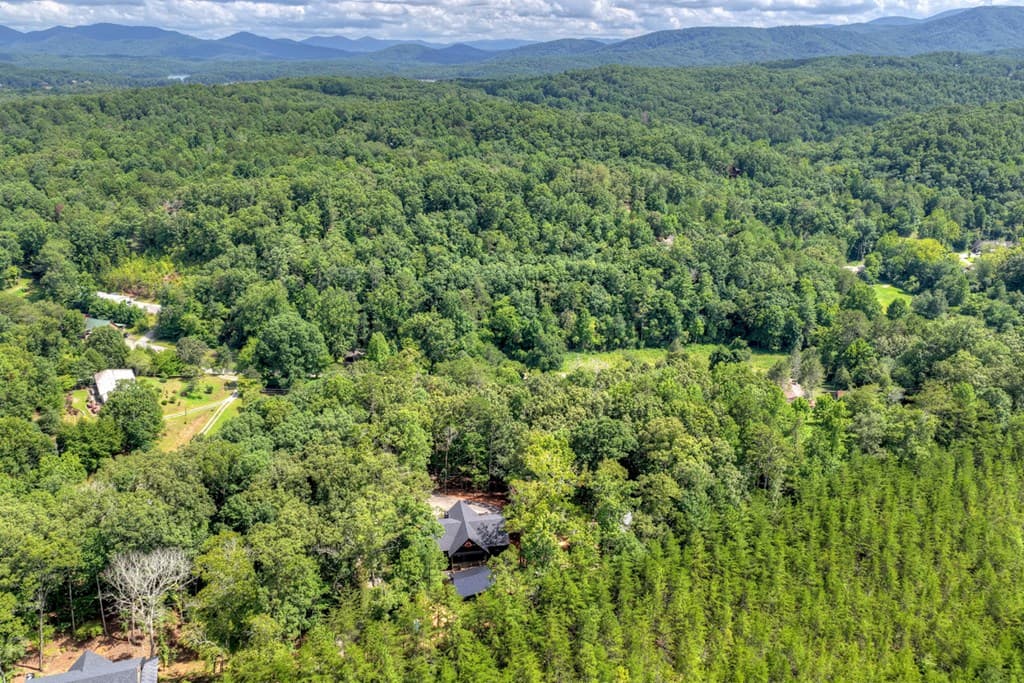 93 Silver Oaks Court, Blue Ridge GA 30513 - Photo