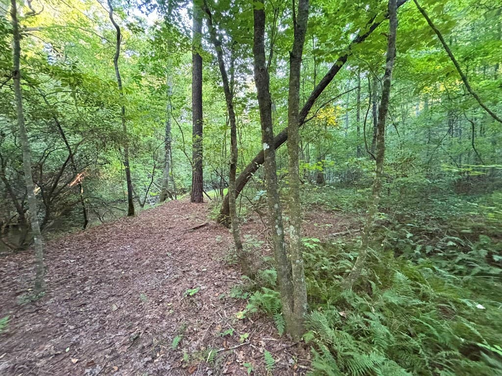 442 Mt. Springer Road, Ellijay GA 30540 - Photo