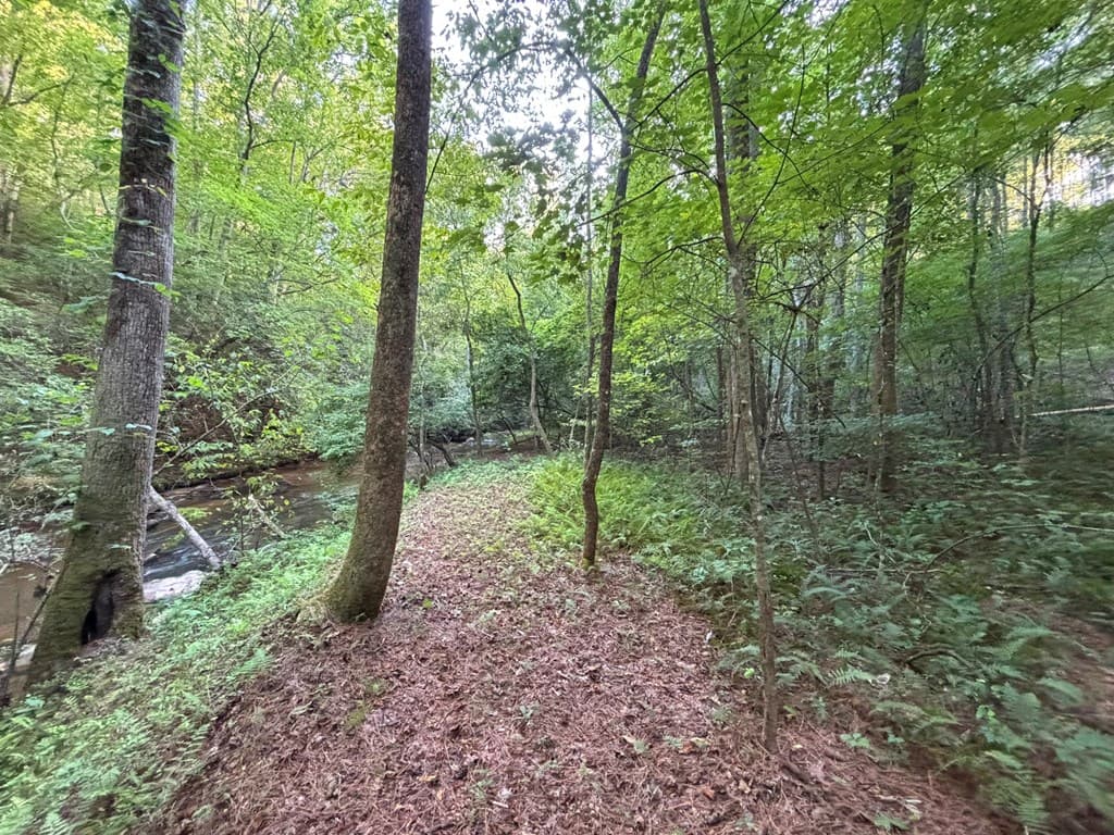 442 Mt. Springer Road, Ellijay GA 30540 - Photo