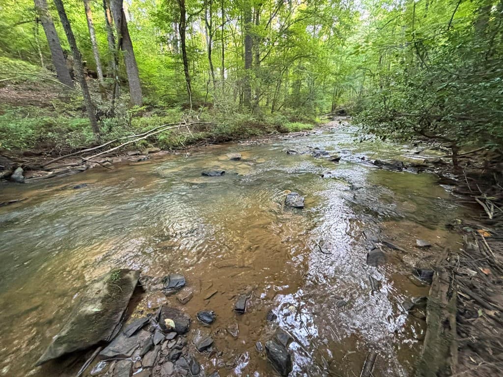 442 Mt. Springer Road, Ellijay GA 30540 - Photo