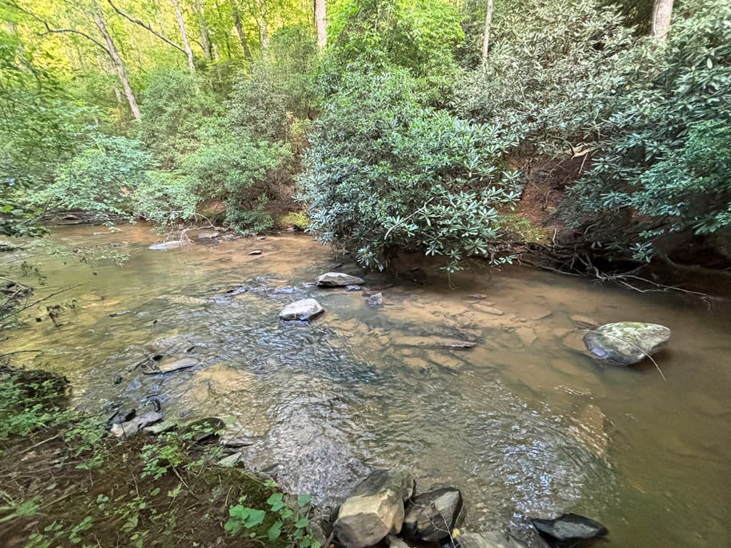 442 Mt. Springer Road, Ellijay GA 30540 - Photo