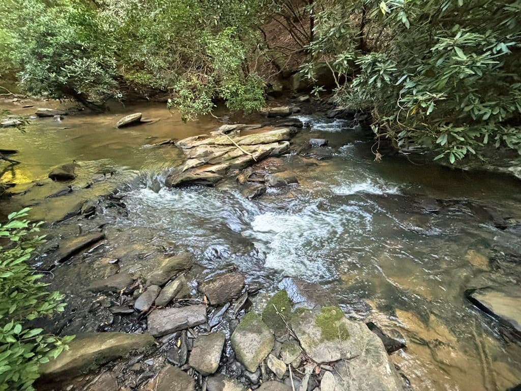 442 Mt. Springer Road, Ellijay GA 30540 - Photo