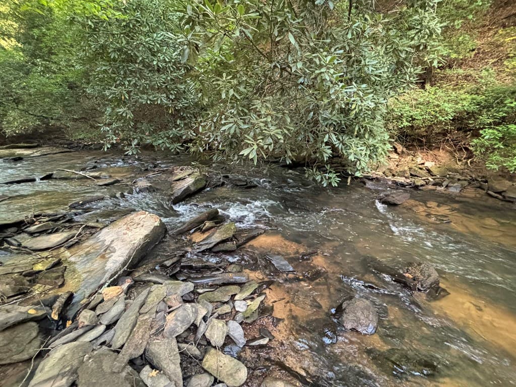 442 Mt. Springer Road, Ellijay GA 30540 - Photo