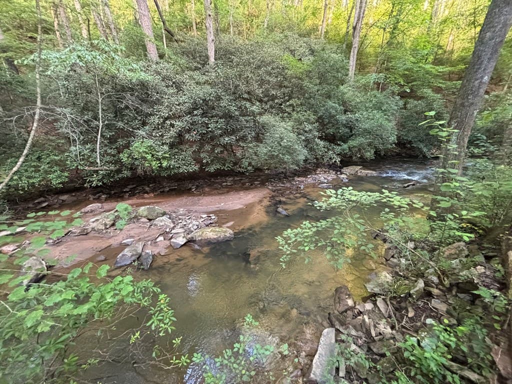 442 Mt. Springer Road, Ellijay GA 30540 - Photo