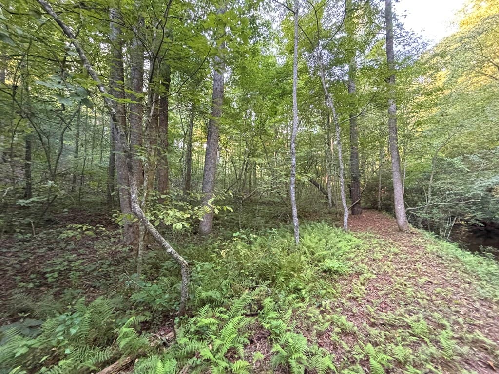 442 Mt. Springer Road, Ellijay GA 30540 - Photo