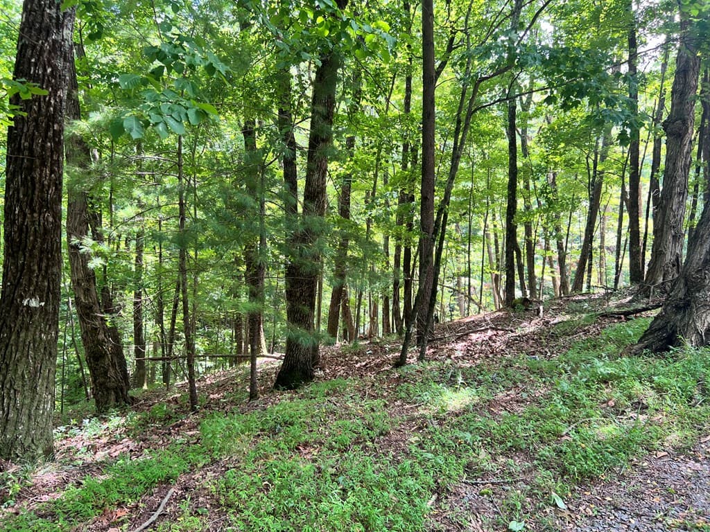 LTG67-68 Mountain Oak Road, Ellijay GA 30536 - Photo