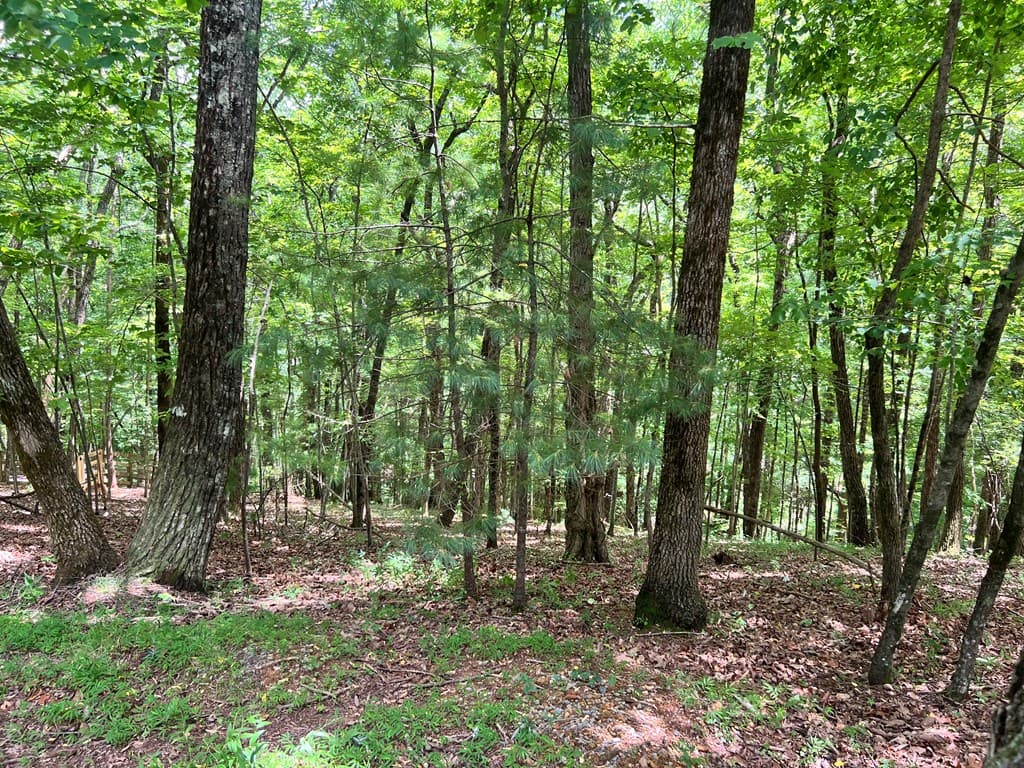 LTG67-68 Mountain Oak Road, Ellijay GA 30536 - Photo