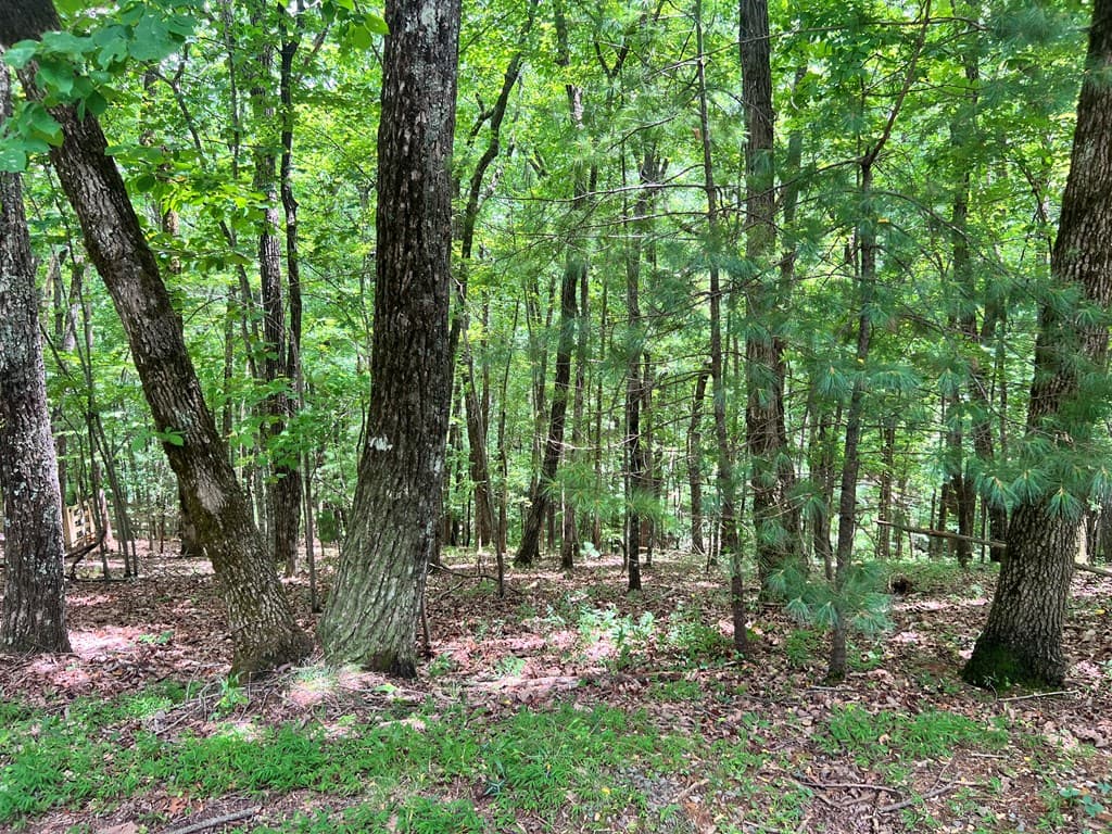 LTG67-68 Mountain Oak Road, Ellijay GA 30536 - Photo