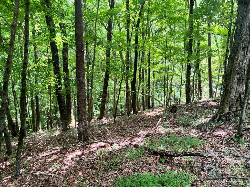 LTG67-68 Mountain Oak Road, Ellijay GA 30536 - Photo