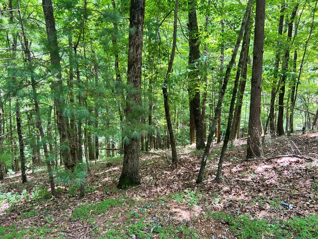 LTG67-68 Mountain Oak Road, Ellijay GA 30536 - Photo