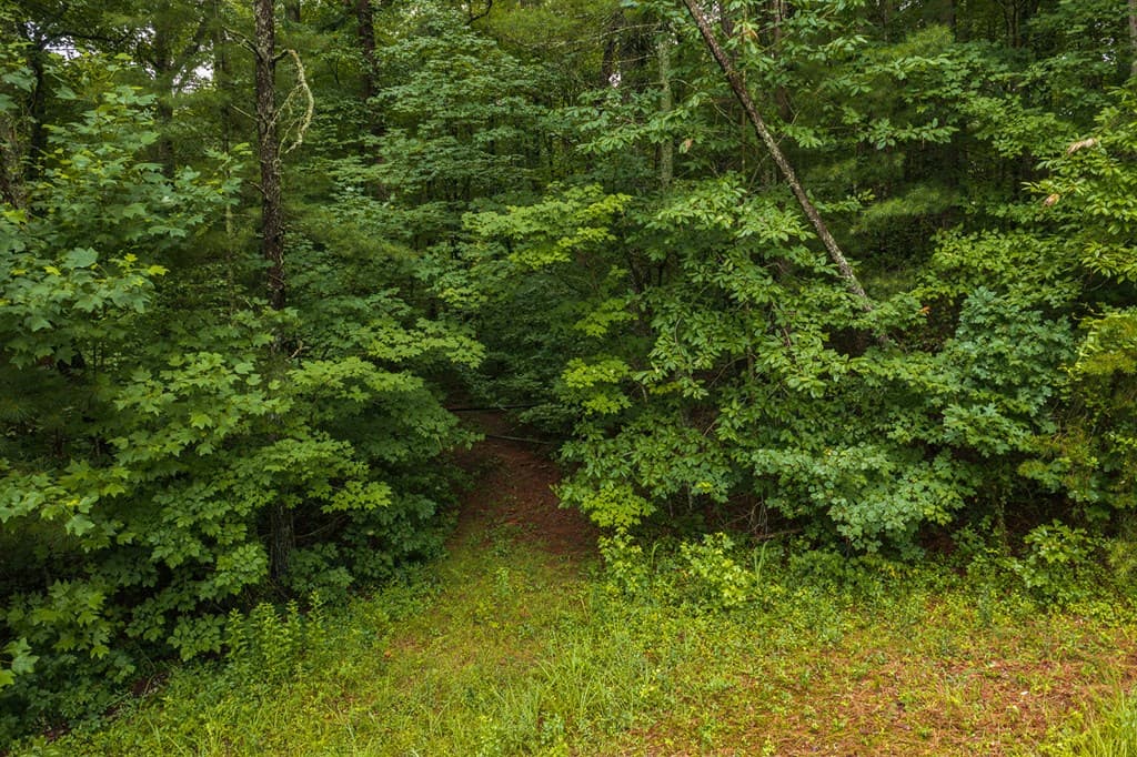 196 Creek Camp Road, Ellijay GA 30536 - Photo