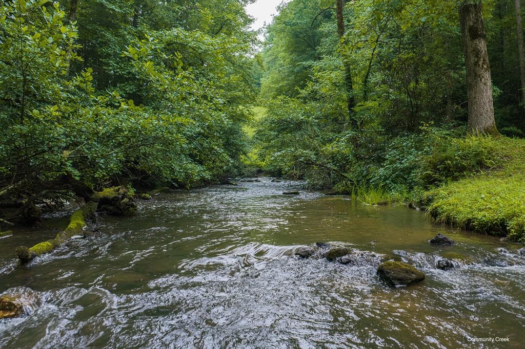 196 Creek Camp Road, Ellijay GA 30536 - Photo