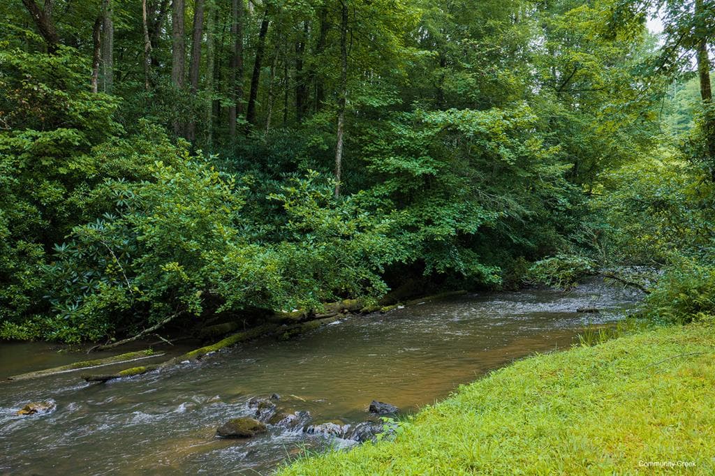 196 Creek Camp Road, Ellijay GA 30536 - Photo