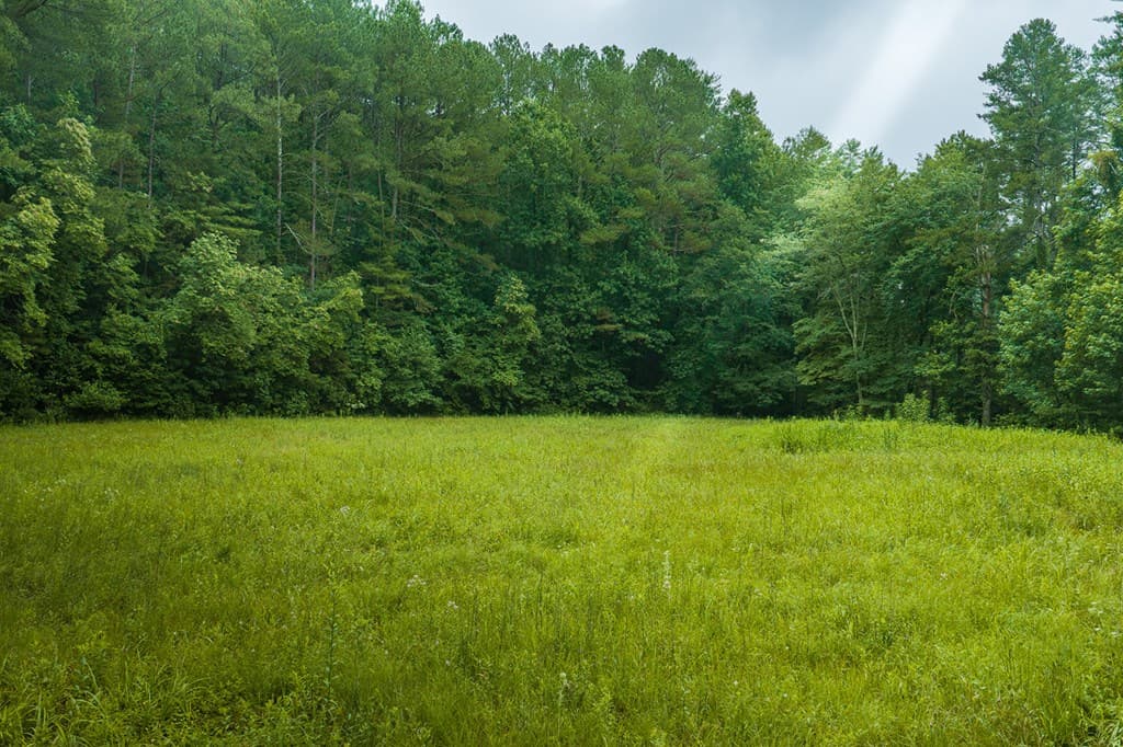 196 Creek Camp Road, Ellijay GA 30536 - Photo