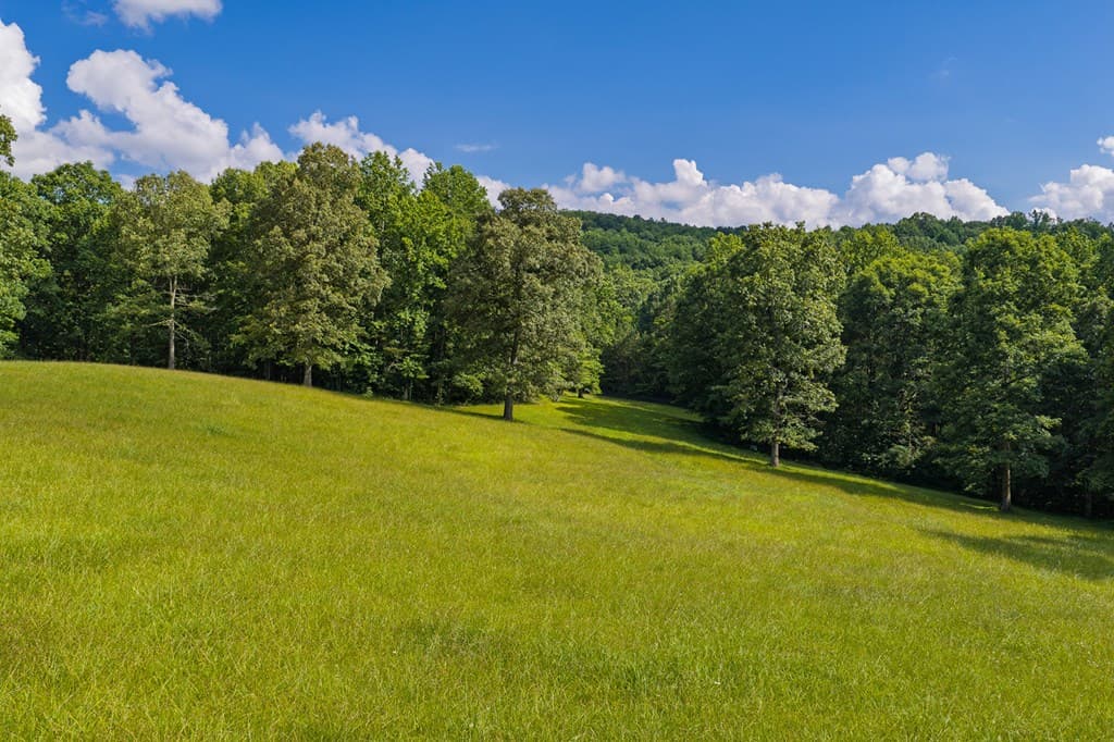196 Creek Camp Road, Ellijay GA 30536 - Photo