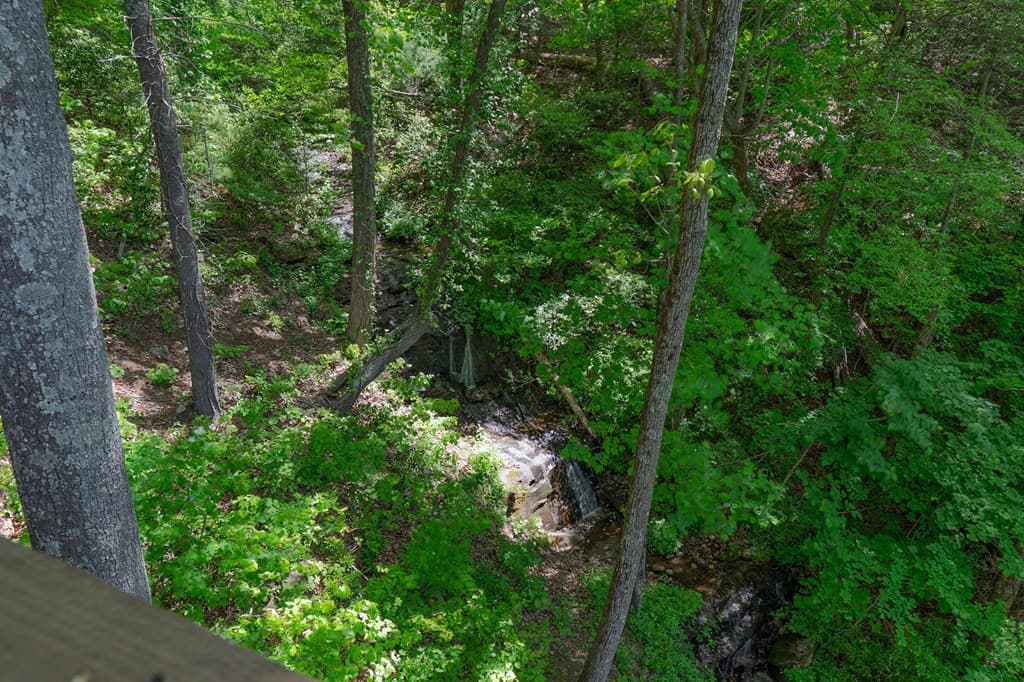 1049 Rockwater Road, Ellijay GA 30536 - Photo