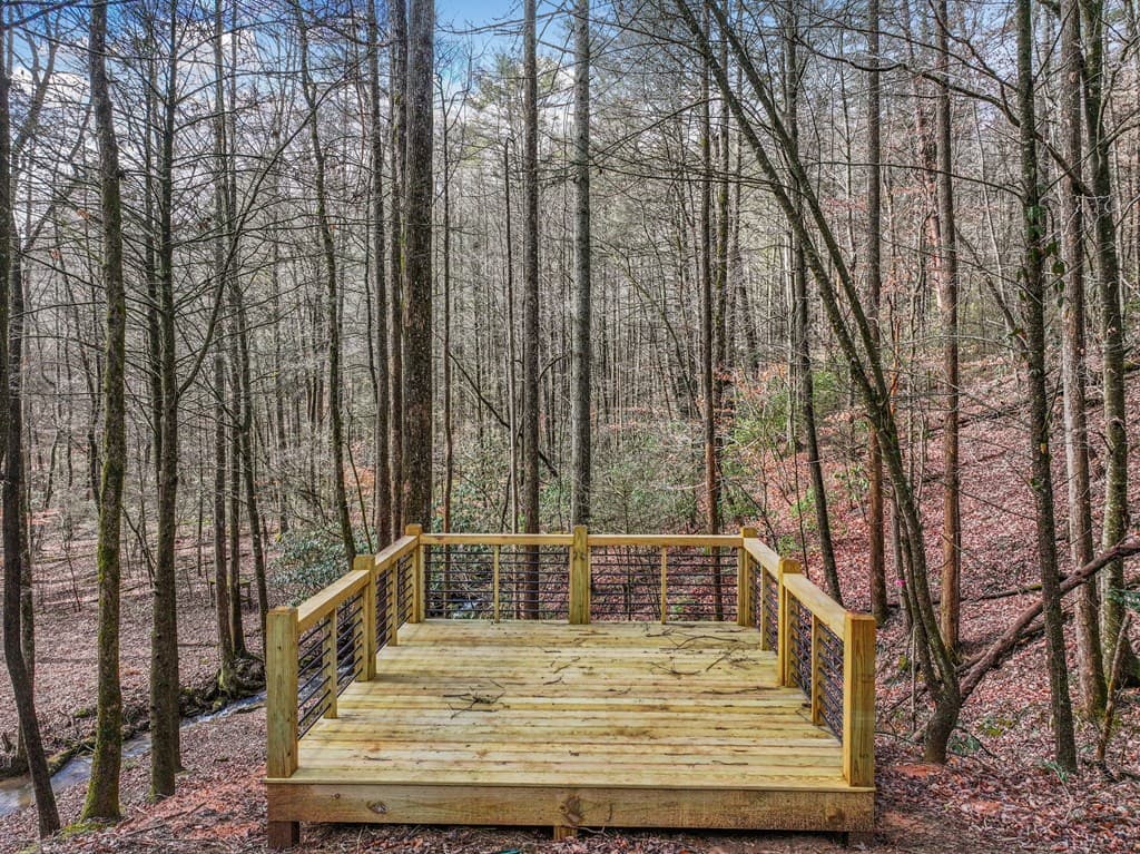 641 Bryant Farm Lane, Ellijay GA 30540 - Photo
