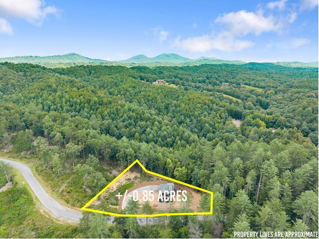 184 Mountain Laurel Ridge, Mineral Bluff GA 30559 - Photo