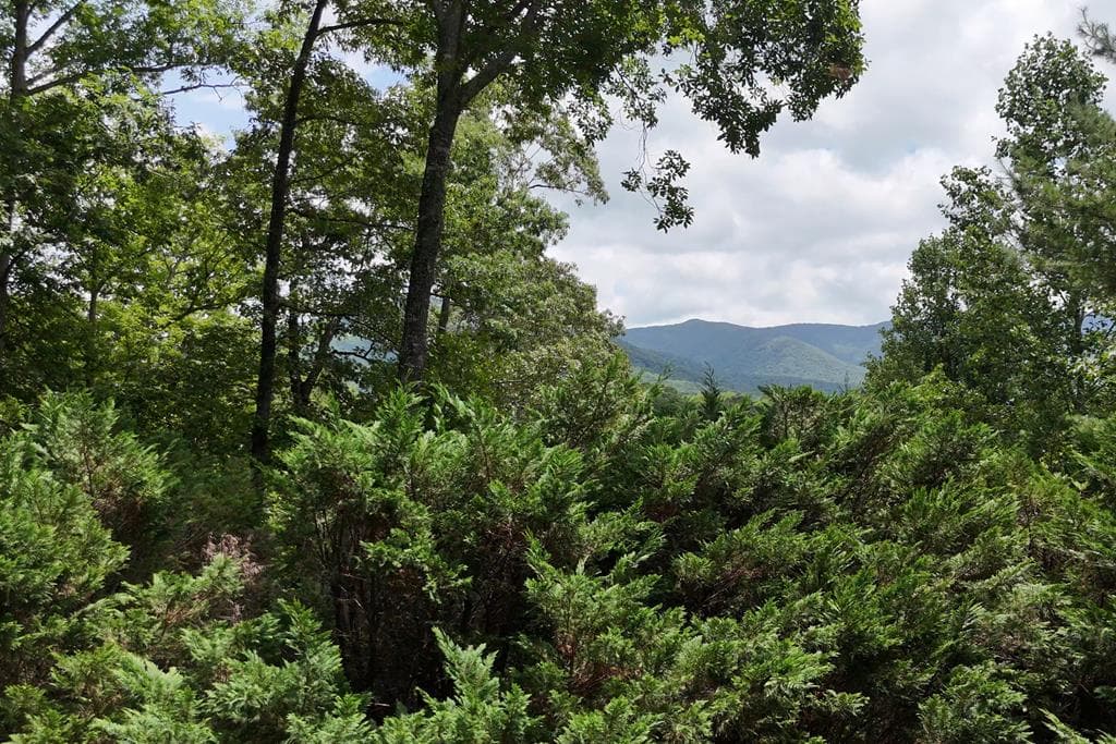 93 Jamie Lane, Blairsville GA 30512 - Photo