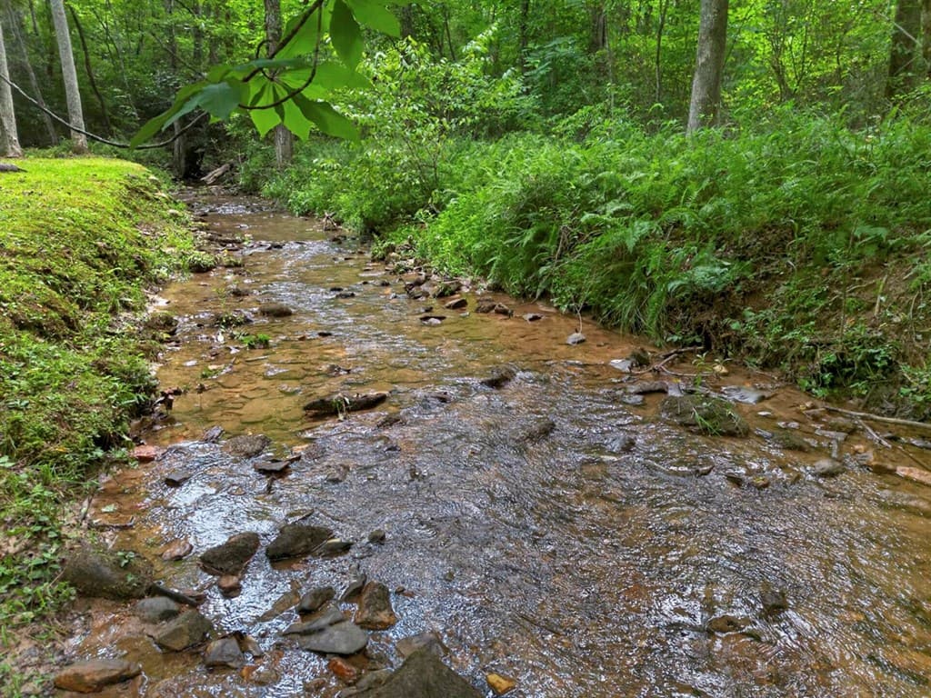 595 Timberlake Road, Blue Ridge GA 30513 - Photo