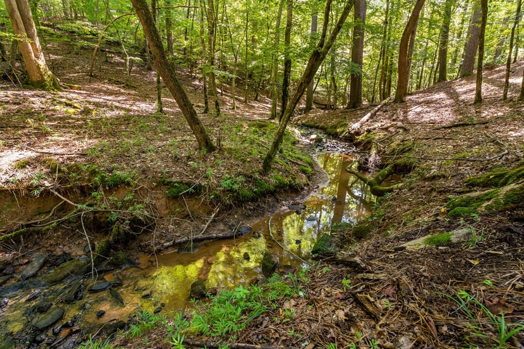 611 Monocle Drive, Ellijay GA 30540 - Photo